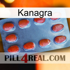 Kanagra 06
